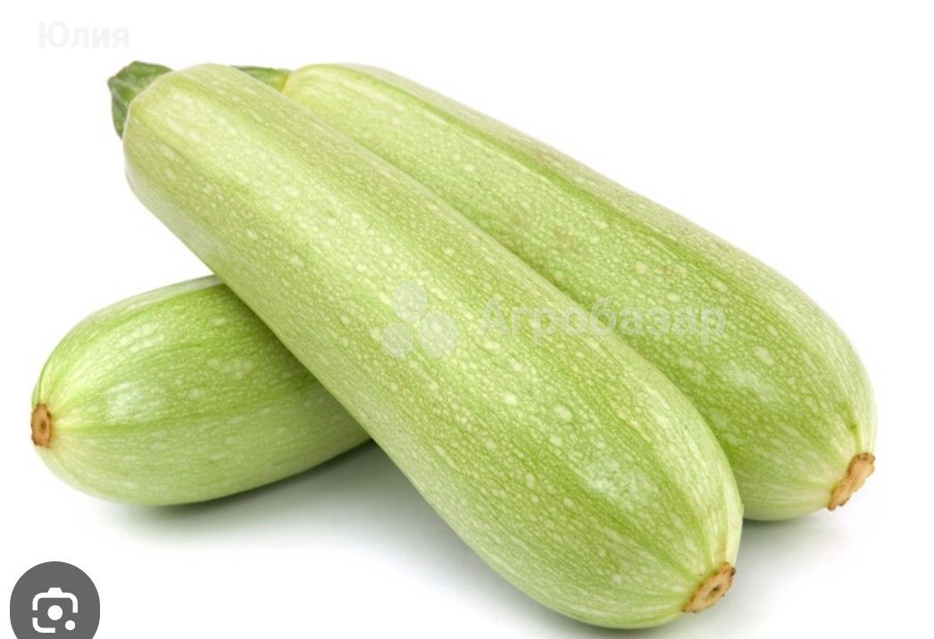 Кабачок