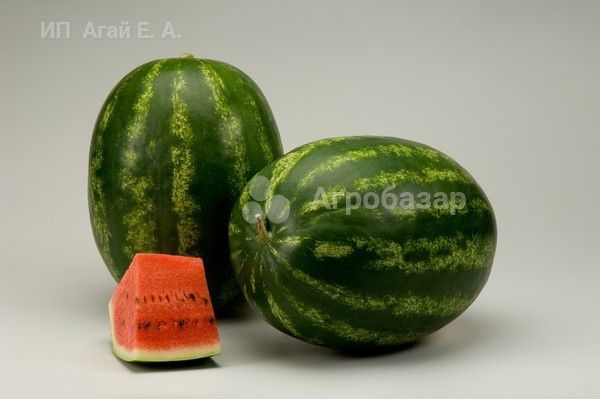 Арбуз