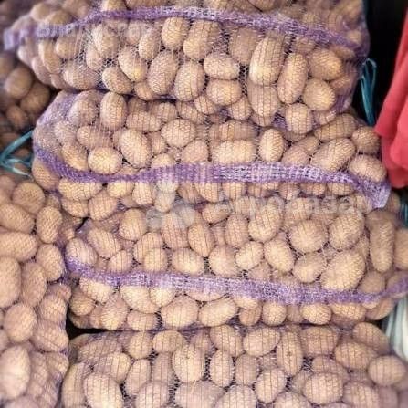 Картофель