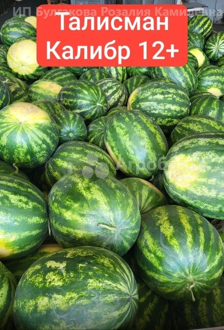 Арбуз