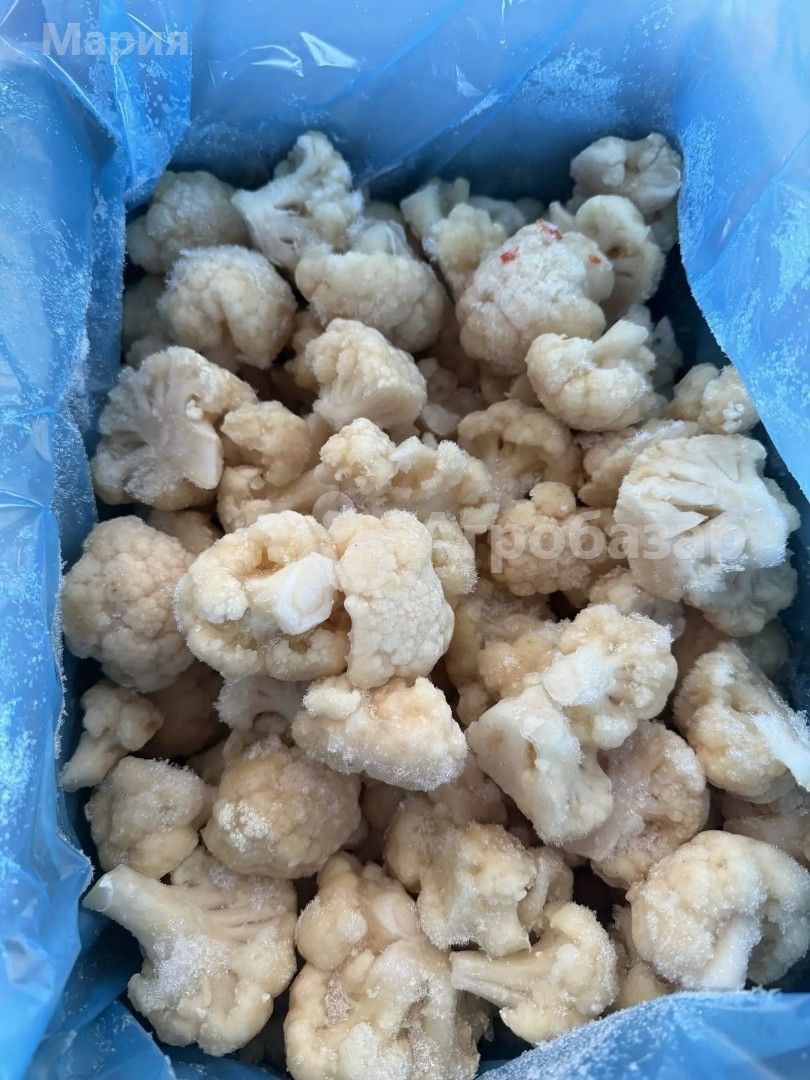 Капуста